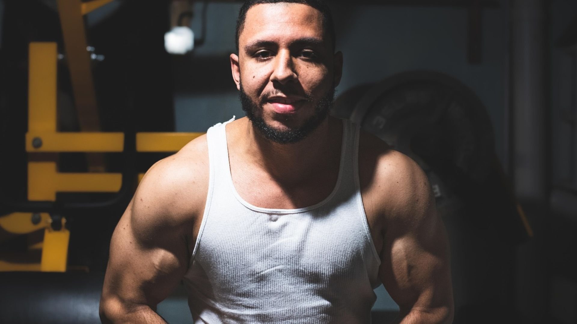 massa muscular em casa