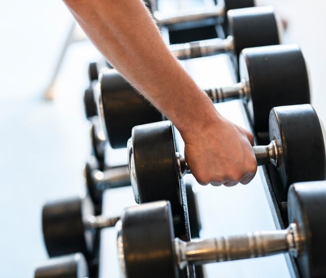 padrao 2025 12 08t093947 685