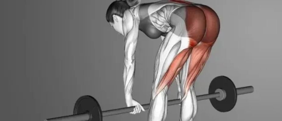 Qual exercício substitui o stiff? Guia para treinar com segurança e eficiência